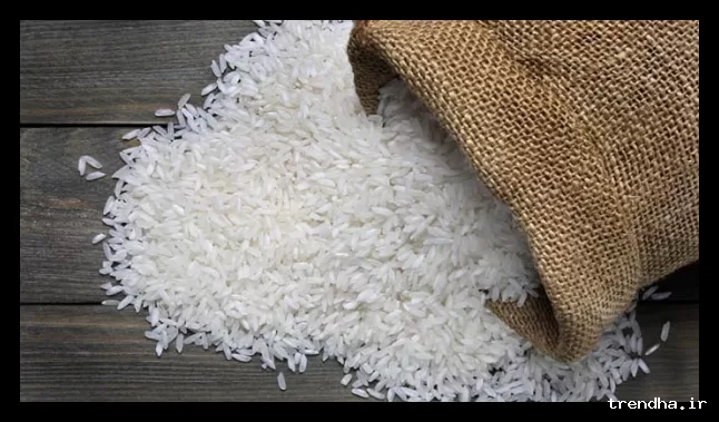 قیمت انواع برنج ایرانی در بازار امروز 2 اسفند 1404 منتشر شد
