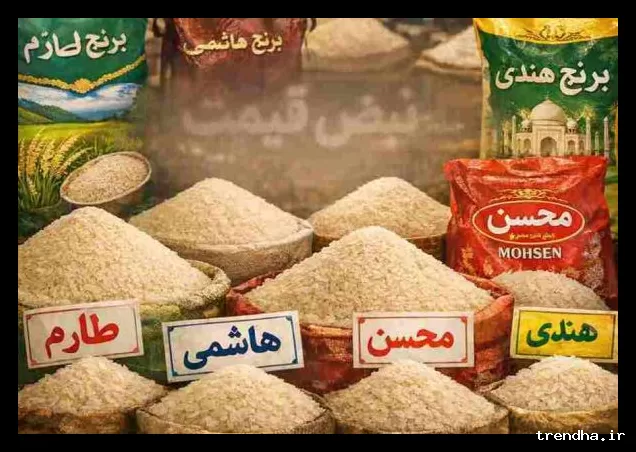 قیمت جدید برنج ایرانی در بازار شنبه ۲ اسفند ۱۴۰۴ منتشر شد