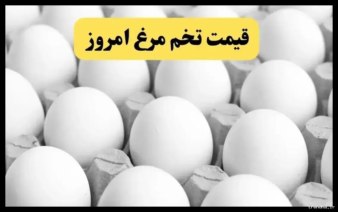 قیمت تخم مرغ امروز 4 اسفند 1404 | هر کیلو تخم مرغ 100 هزار تومان