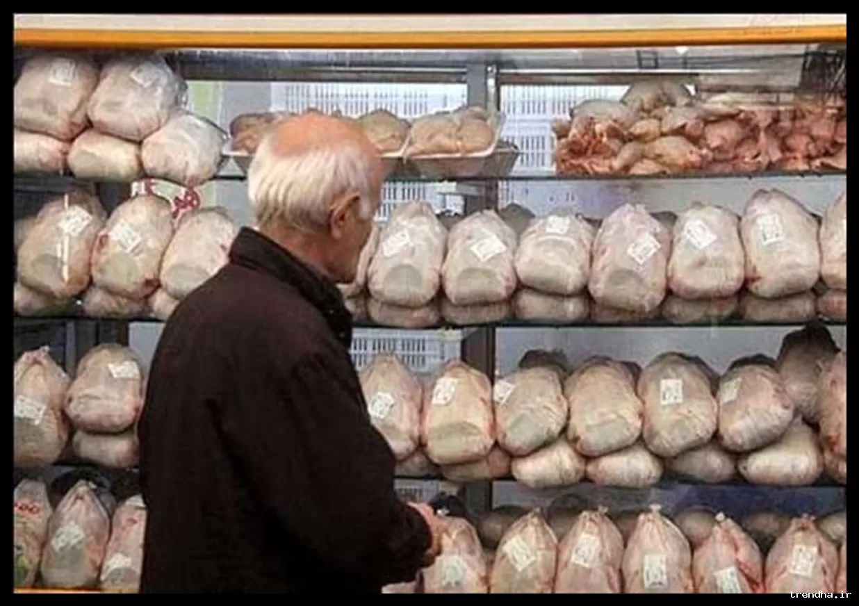 هشدار مرغداران درباره افزایش دوباره قیمت مرغ و پیامدهای آن