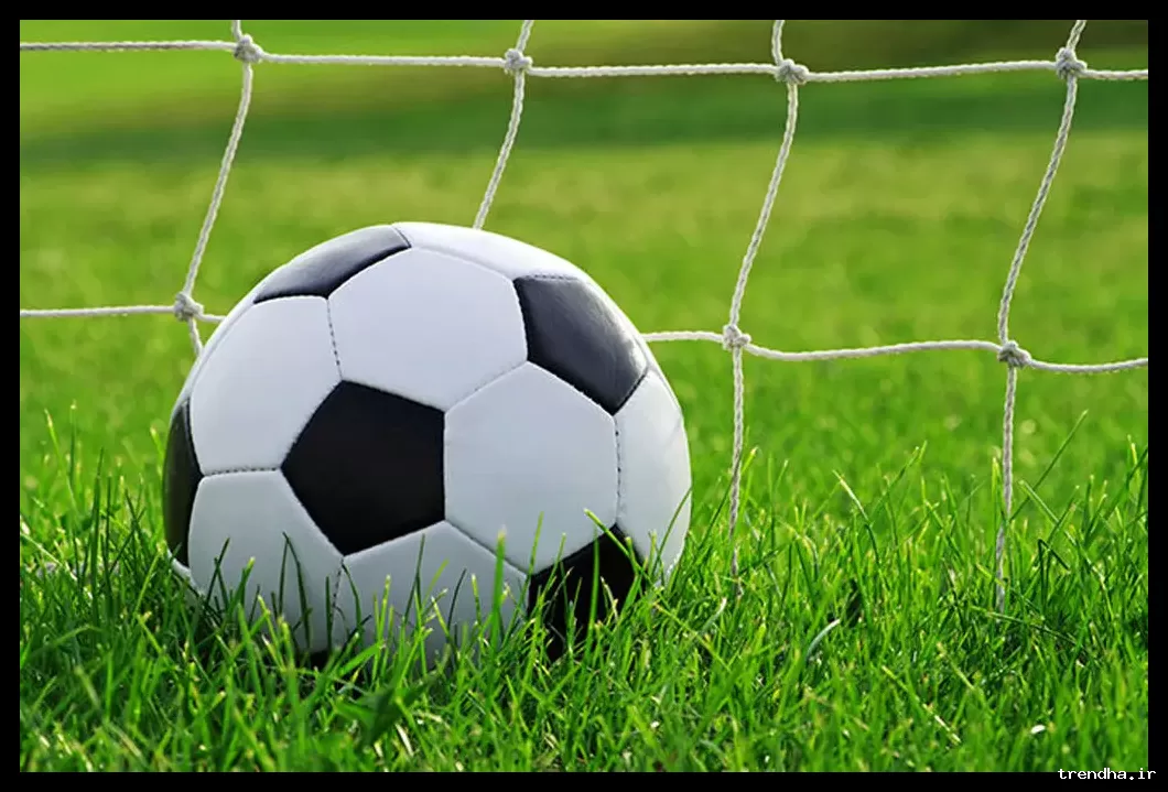 درگیری لفظی تونی و حرکاس در دیدار الاهلی و ضمک جنجالی شد