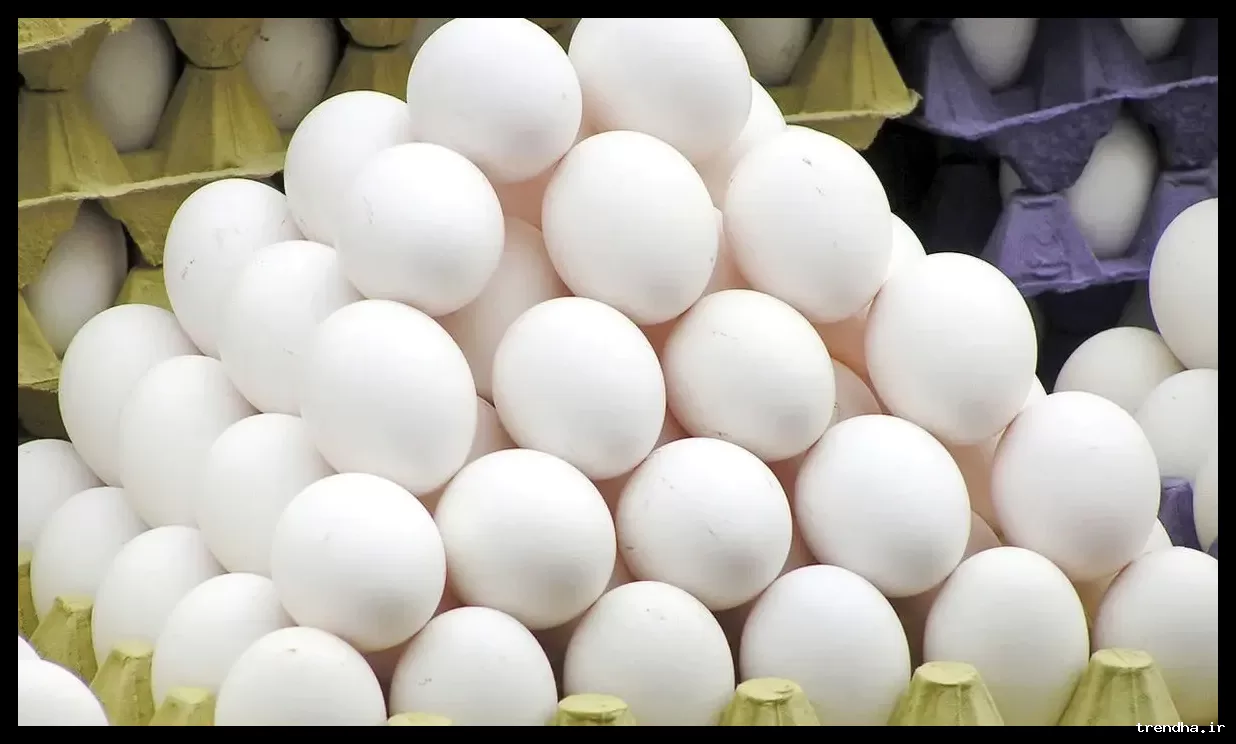 کاهش قیمت تخم‌مرغ؛ پایان دوران ۲۰ هزار تومانی